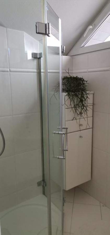 Haus Jastrinsky Daire Dorfgastein Dış mekan fotoğraf